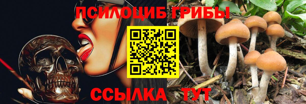 Новочеркасск  Псилоцибиновые грибы прущие грибы  Вход с VPN 